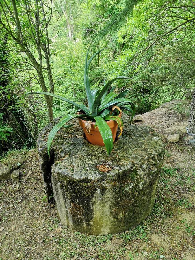 Casa Rural Ardetxal A 16Km De Logrono Y Laguardia Vinaspre Exteriör bild